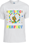 Perfect Puzzle Heart Batch 2 T-Shirt